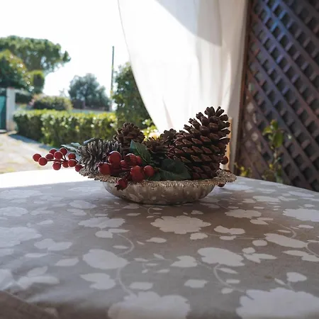Eiren Bed&bath Guest house *